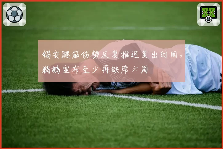 锡安腿筋伤势反复推迟复出时间,鹈鹕宣布至少再缺席六周
